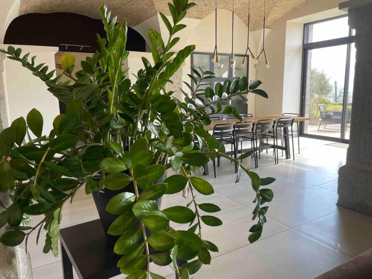 Chambres - Ancien Domaine De Chartreux Tullins ภายนอก รูปภาพ